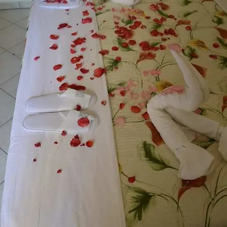 Domus 3*