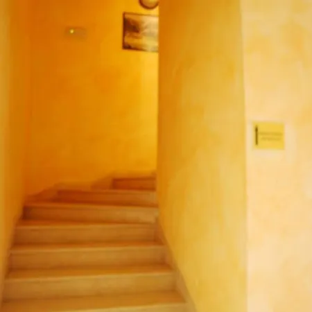 Hotel Domus 3*