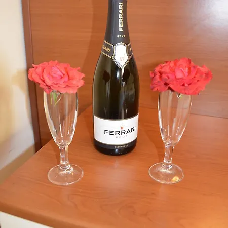 Domus Ξενοδοχείο Santa Maria Del Cedro