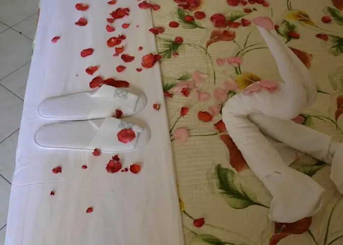 Domus Santa Maria Del Cedro